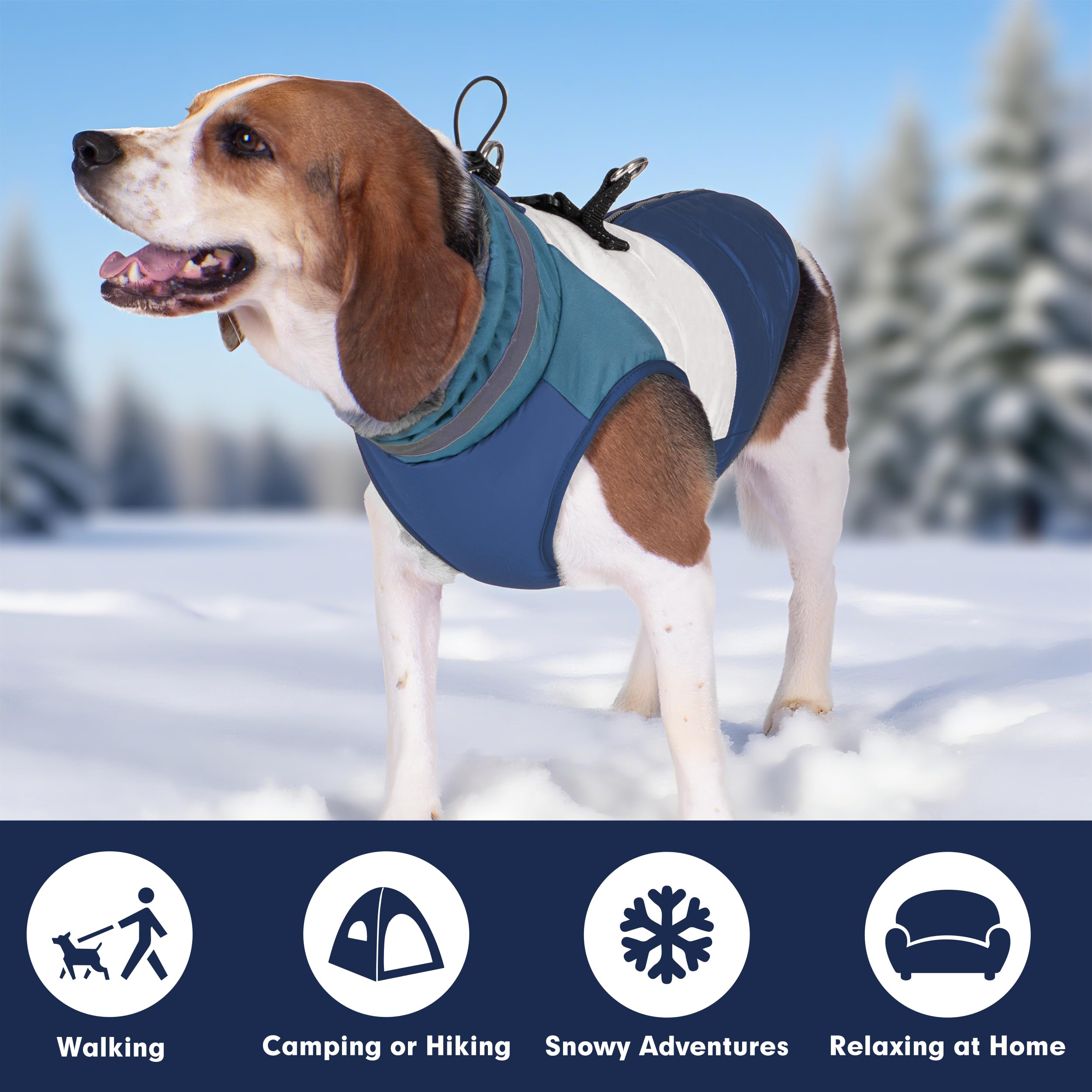 Azuza dog coat belly-elastic: secure, comfy fit across different shapes.