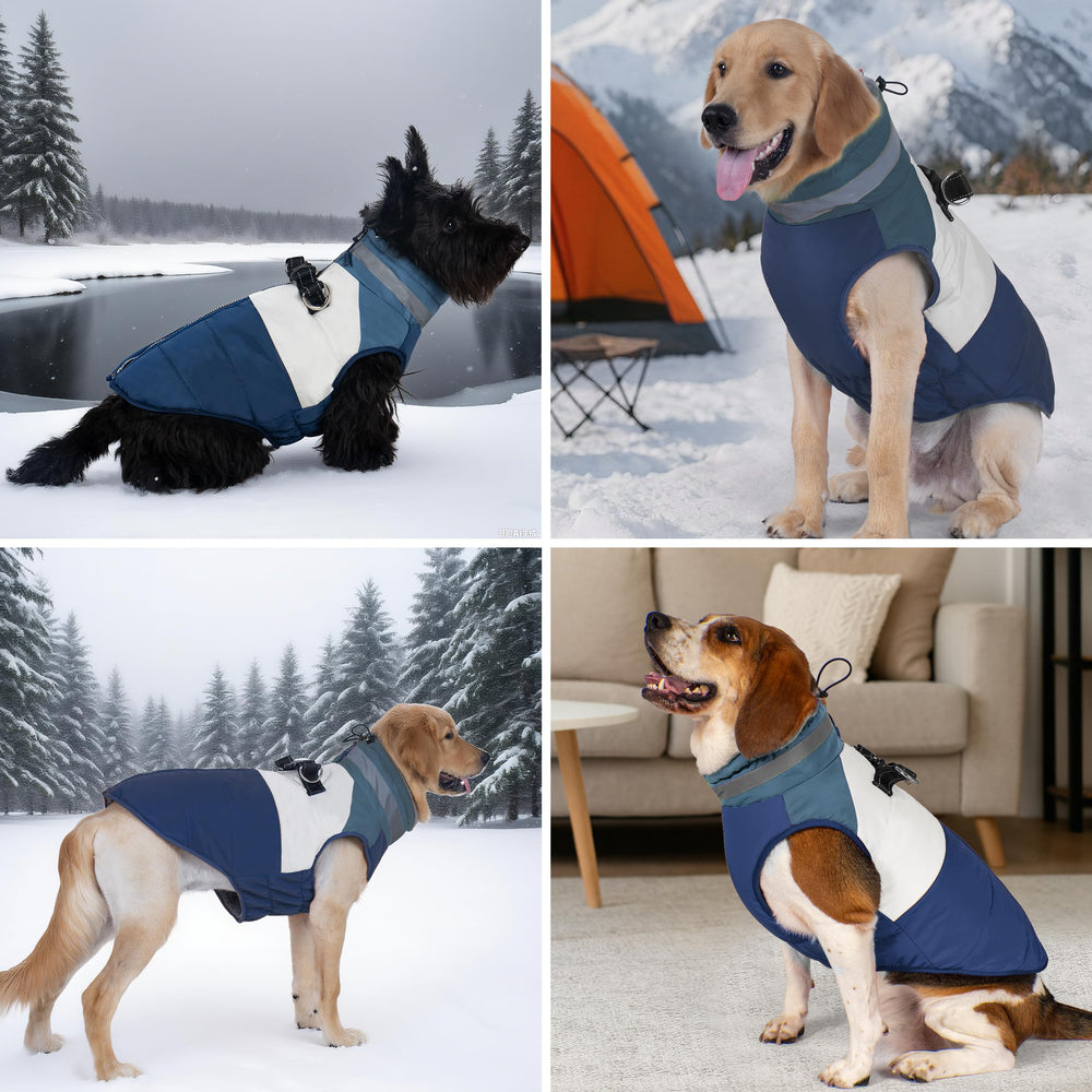 Azuza dog coat windproof-protection: shield against chilly gusts on outings.