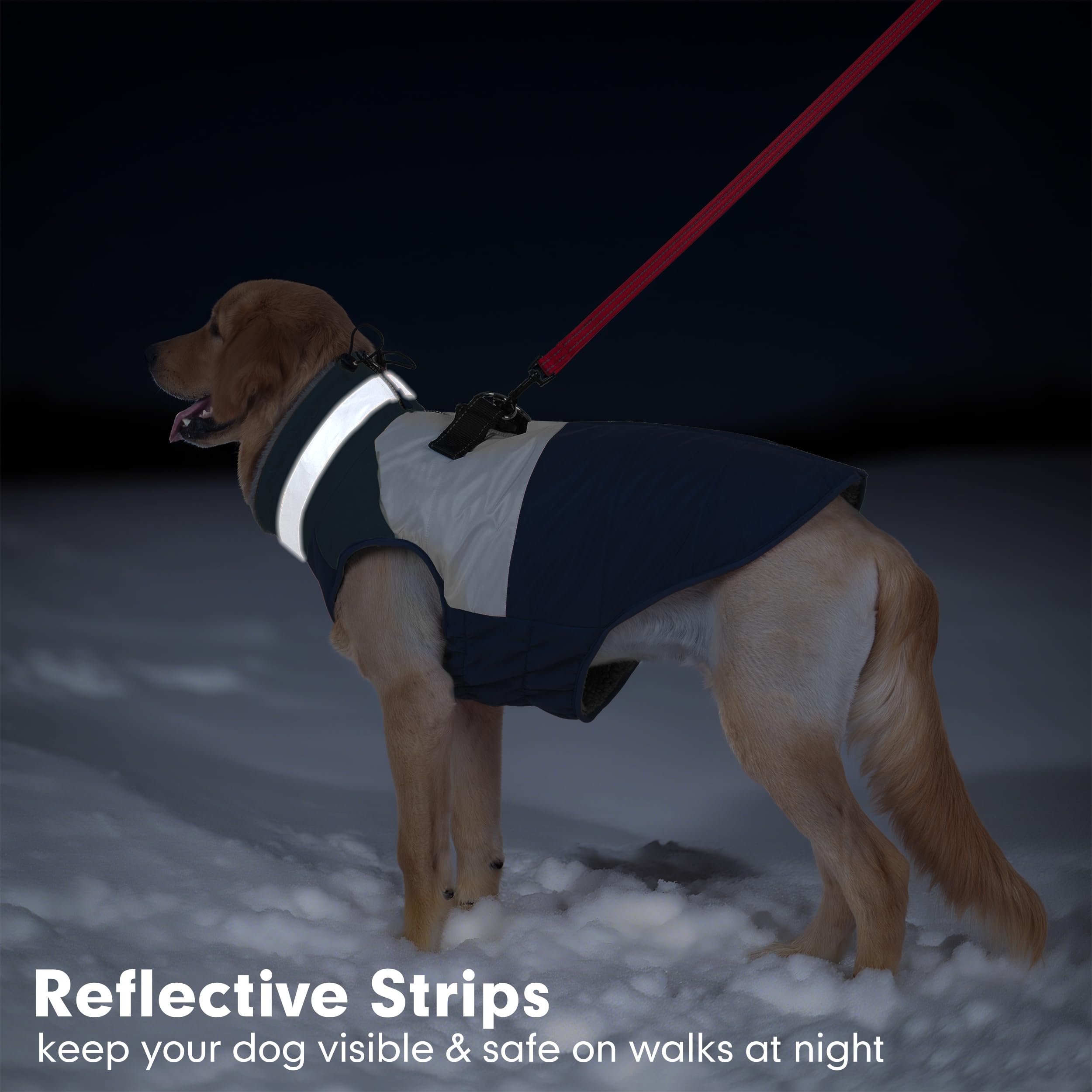 Azuza dog coat neck-drawstring: adjustable fit for comfortable wear.