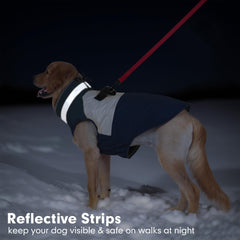 Azuza dog coat neck-drawstring: adjustable fit for comfortable wear.