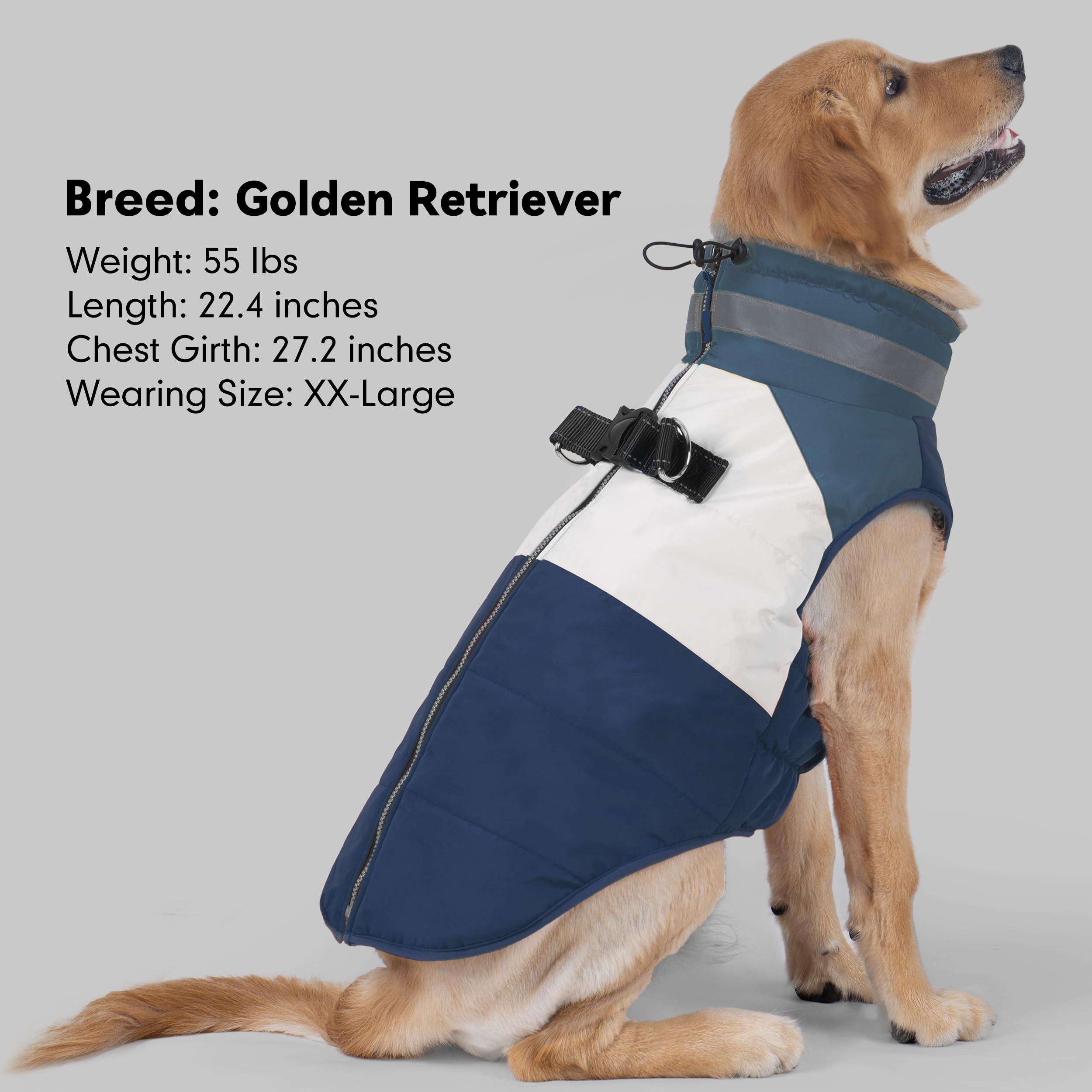 Azuza dog coat 3XL: sized for large breeds like Great Dane.