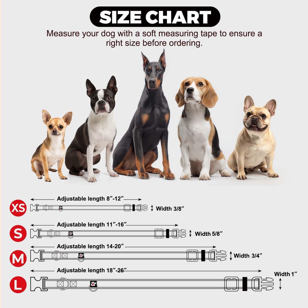 Azuza Size XS neck 8-12 inches collar fits tiny dogs.
