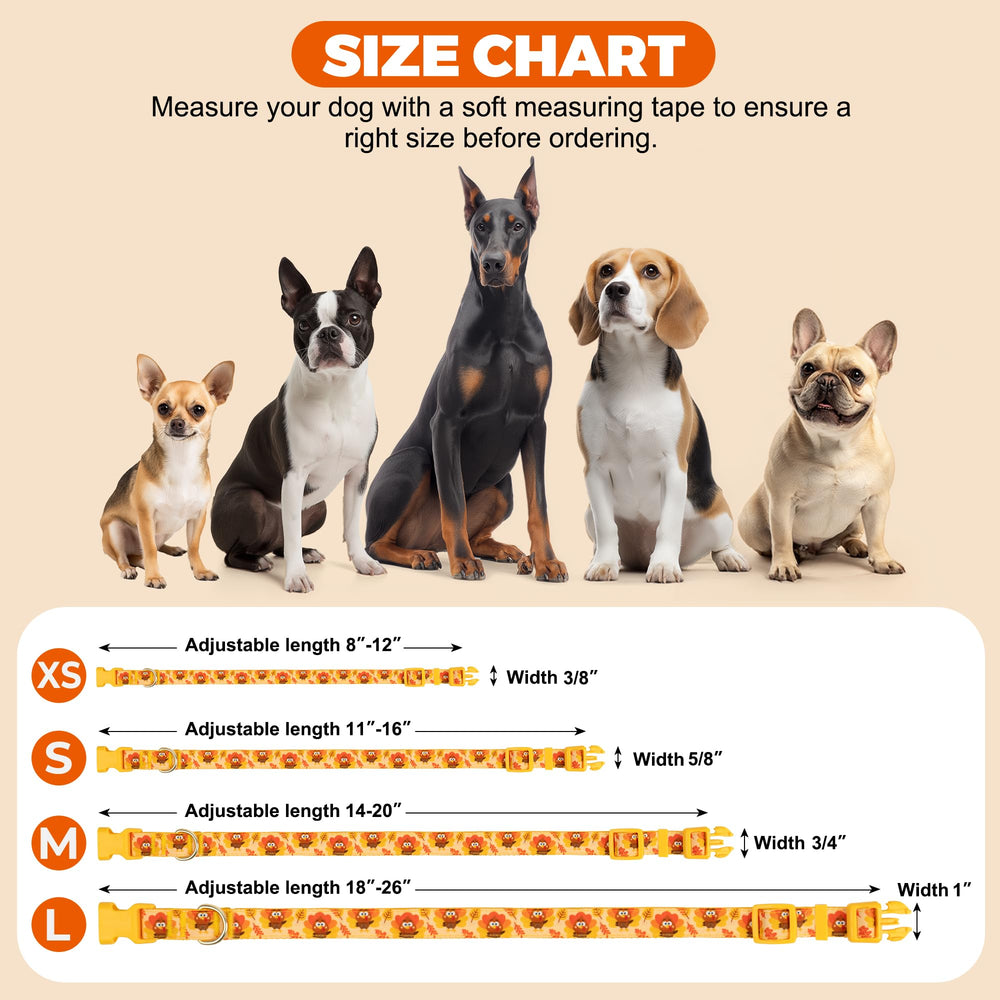 Azuza gift ready packaging for Thanksgiving dog collar