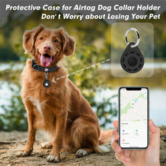 Azuza Neoprene padded dog collar provides soft comfort and breathability.