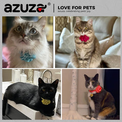 Removable flower detail on the Azuza collar enables quick customization.
