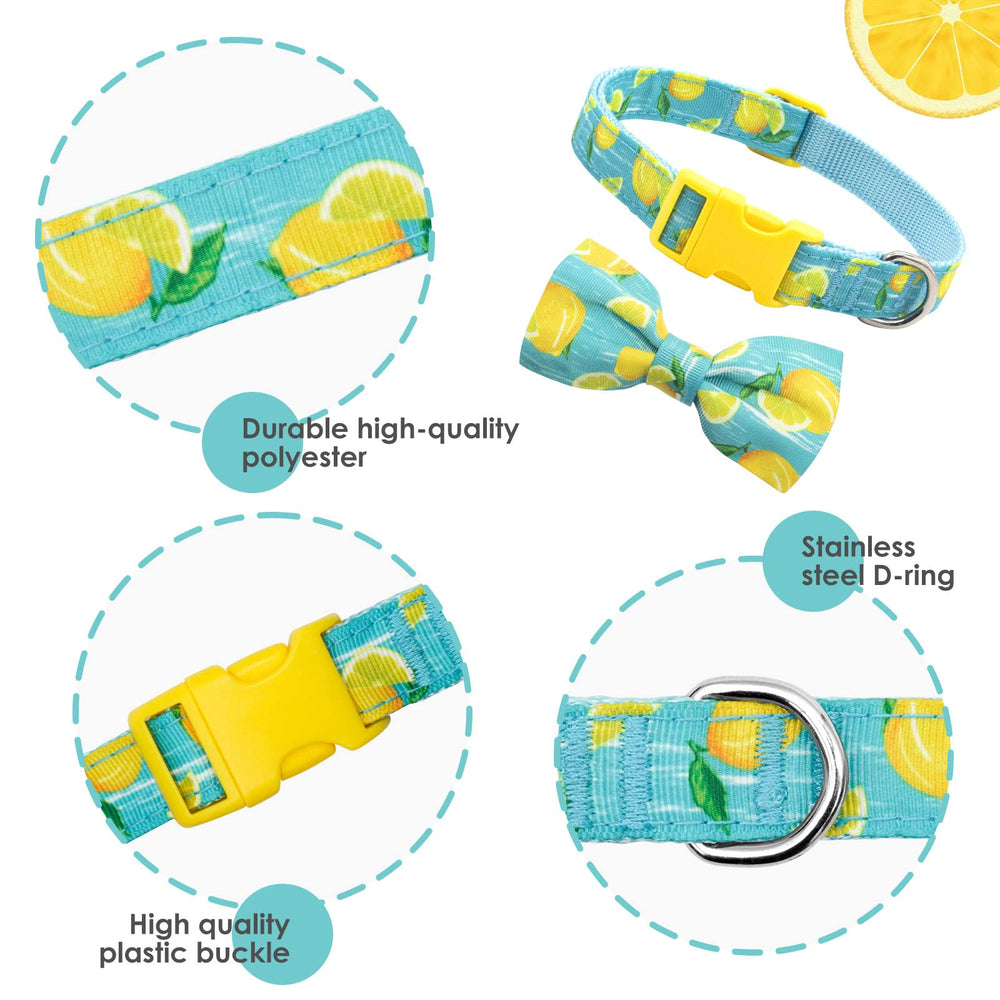 azuza soft nylon webbing collar ideal for breathable, everyday adventures