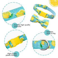 azuza soft nylon webbing collar ideal for breathable, everyday adventures