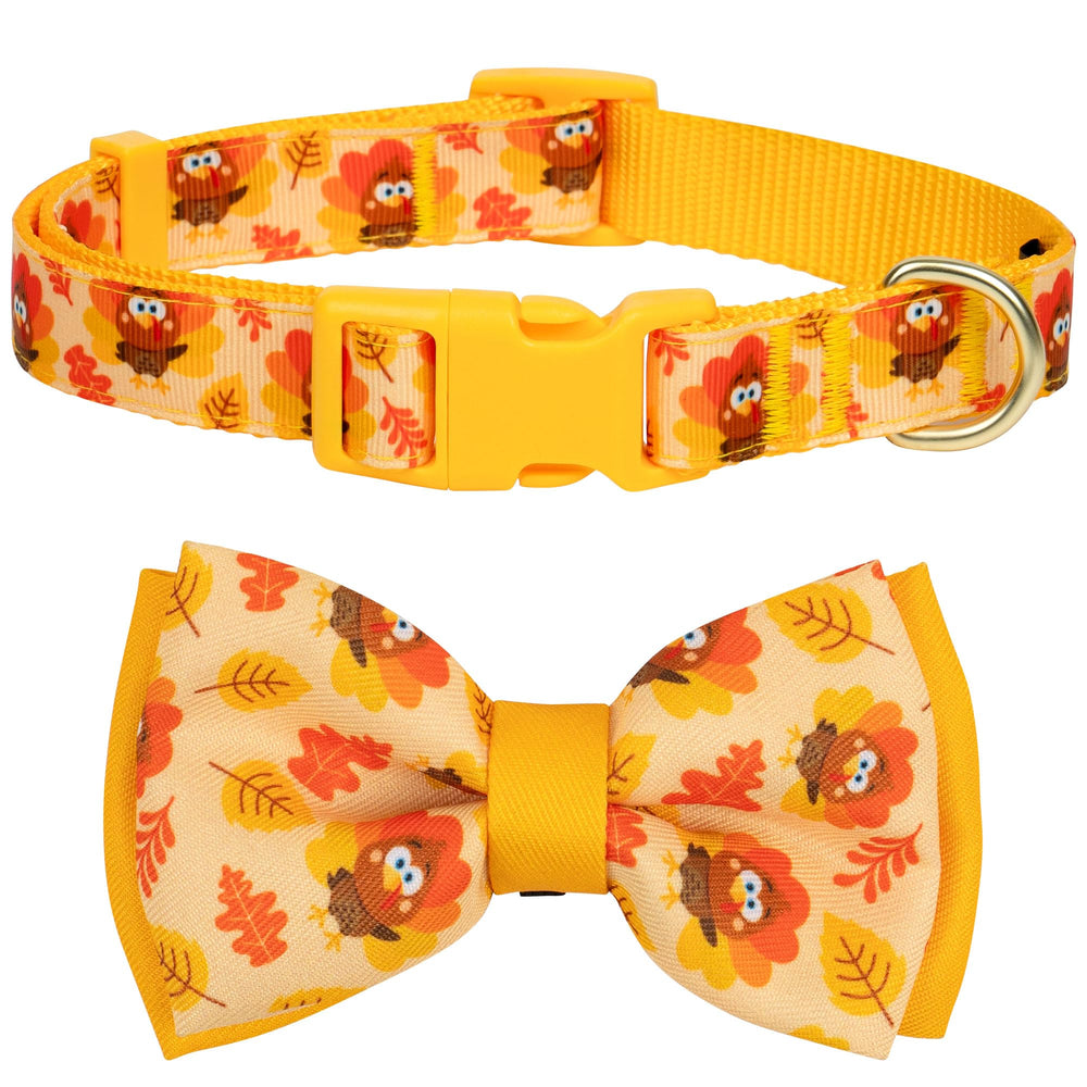 Azuza Thanksgiving dog collar with turkey bow for festive photos