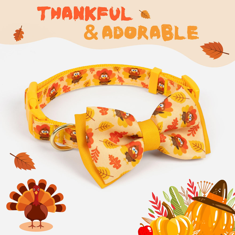 Azuza dog collar featuring maple leaf design for holidays