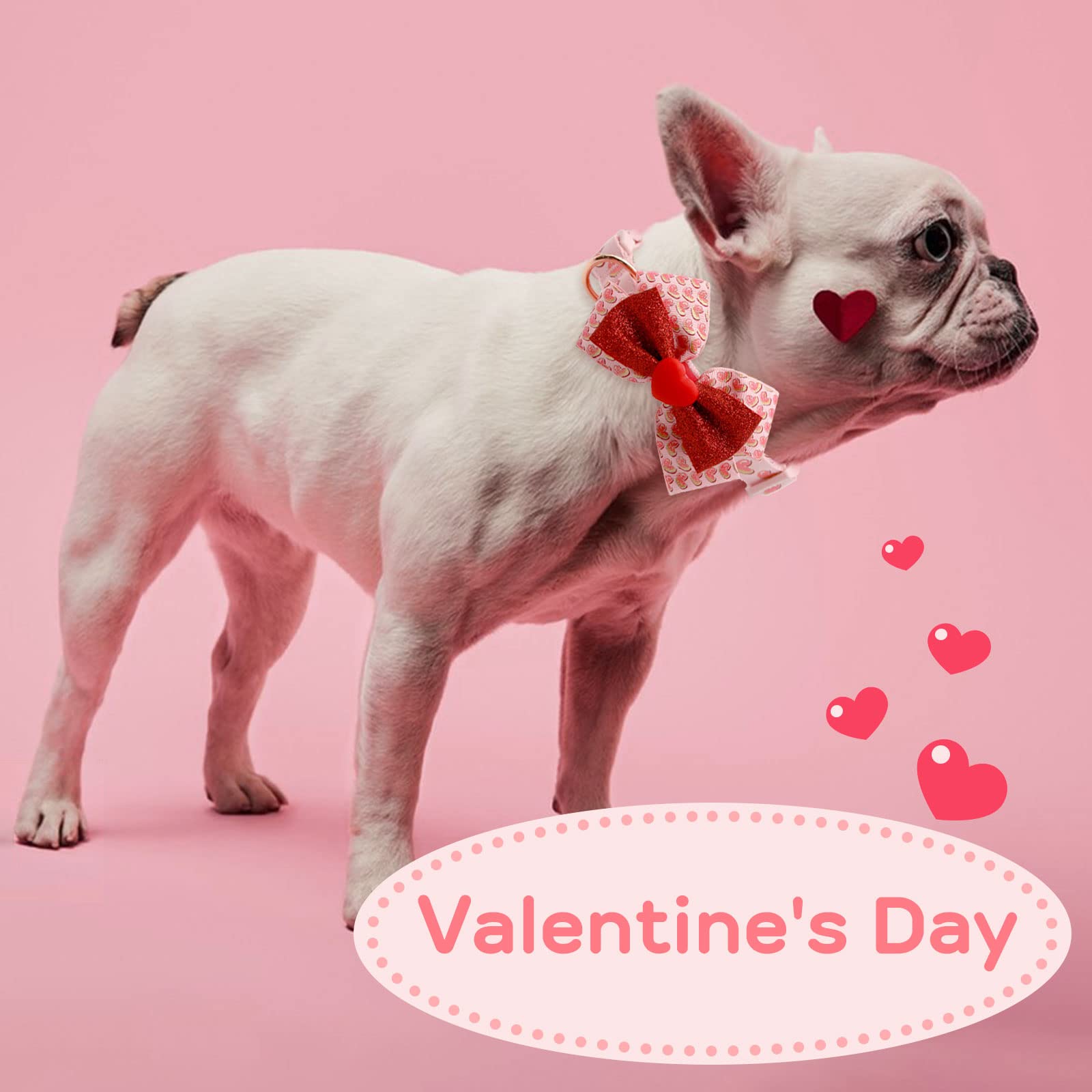 Azuza Valentines adjustable large-dog collar fits 18-26 inch necks.