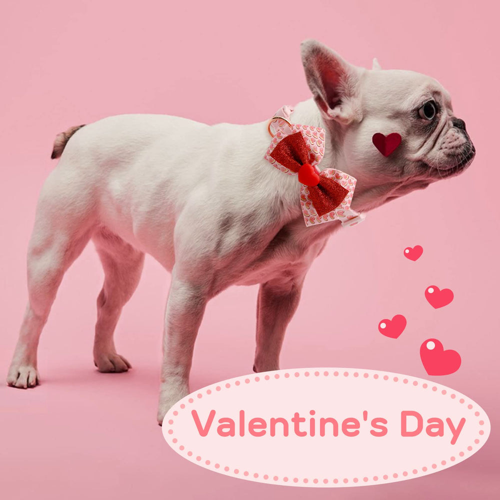 Azuza Valentines adjustable large-dog collar fits 18-26 inch necks.