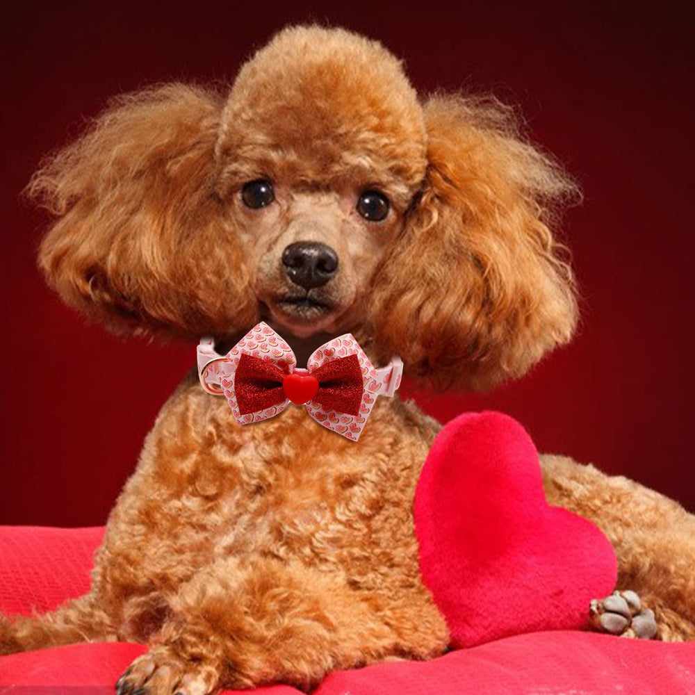 Azuza Valentines collar ideal for weddings and photo moments.