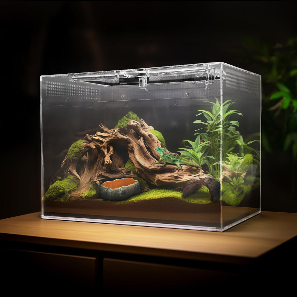AZV reptile terrarium in classroom-friendly desktop setup.