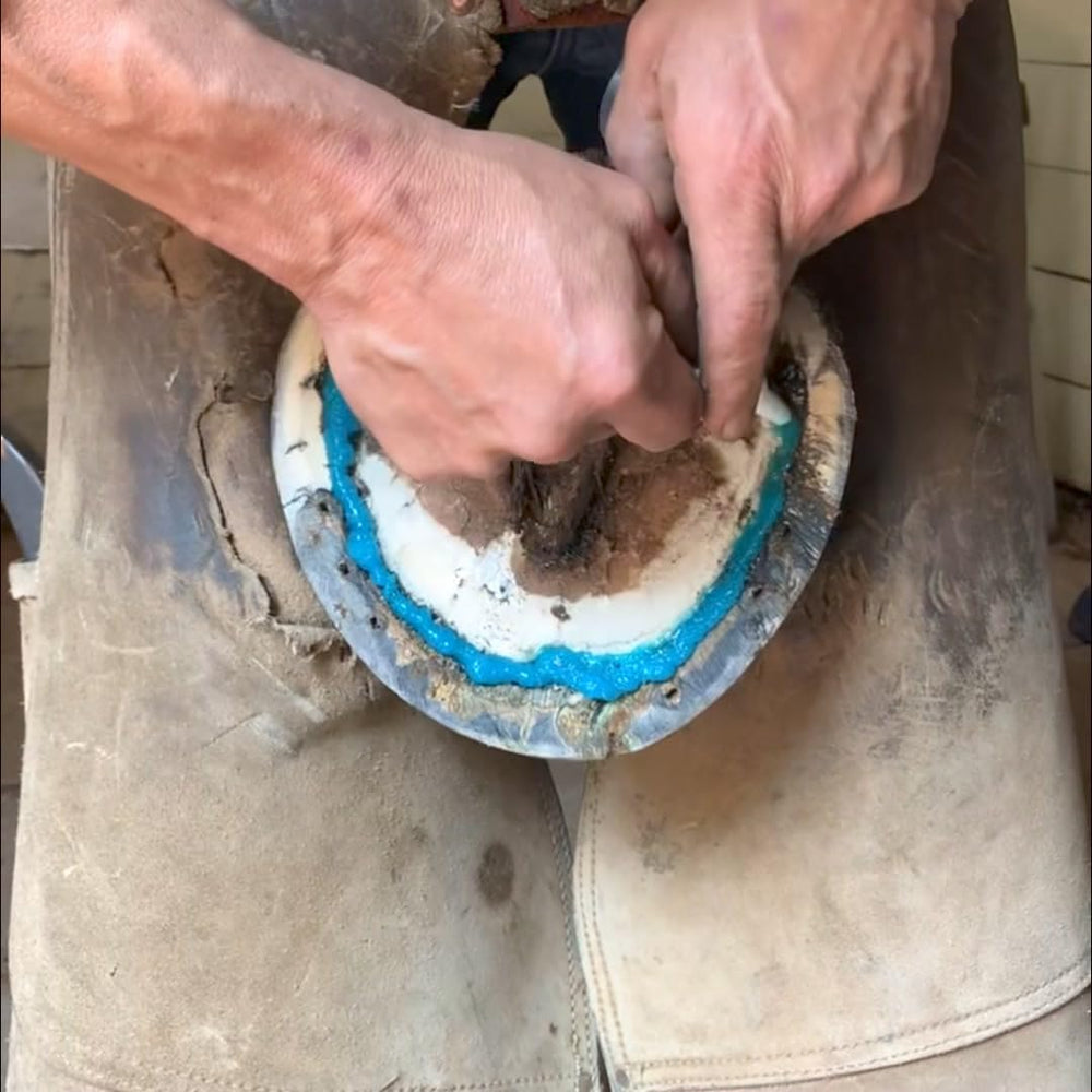B Gone White Line Treatment being applied to a hoof for fast relief.