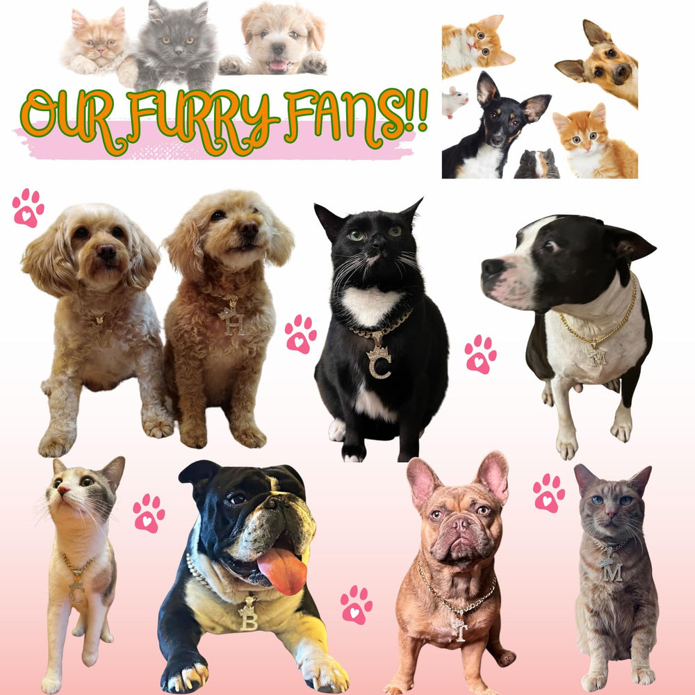 BA UNIQUE FASHION Gift-ready pet necklace with personalization option.