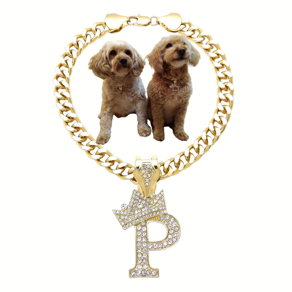 Ba Unique Fashion initial letter Cuban chain pendant close-up for personalized pet style.