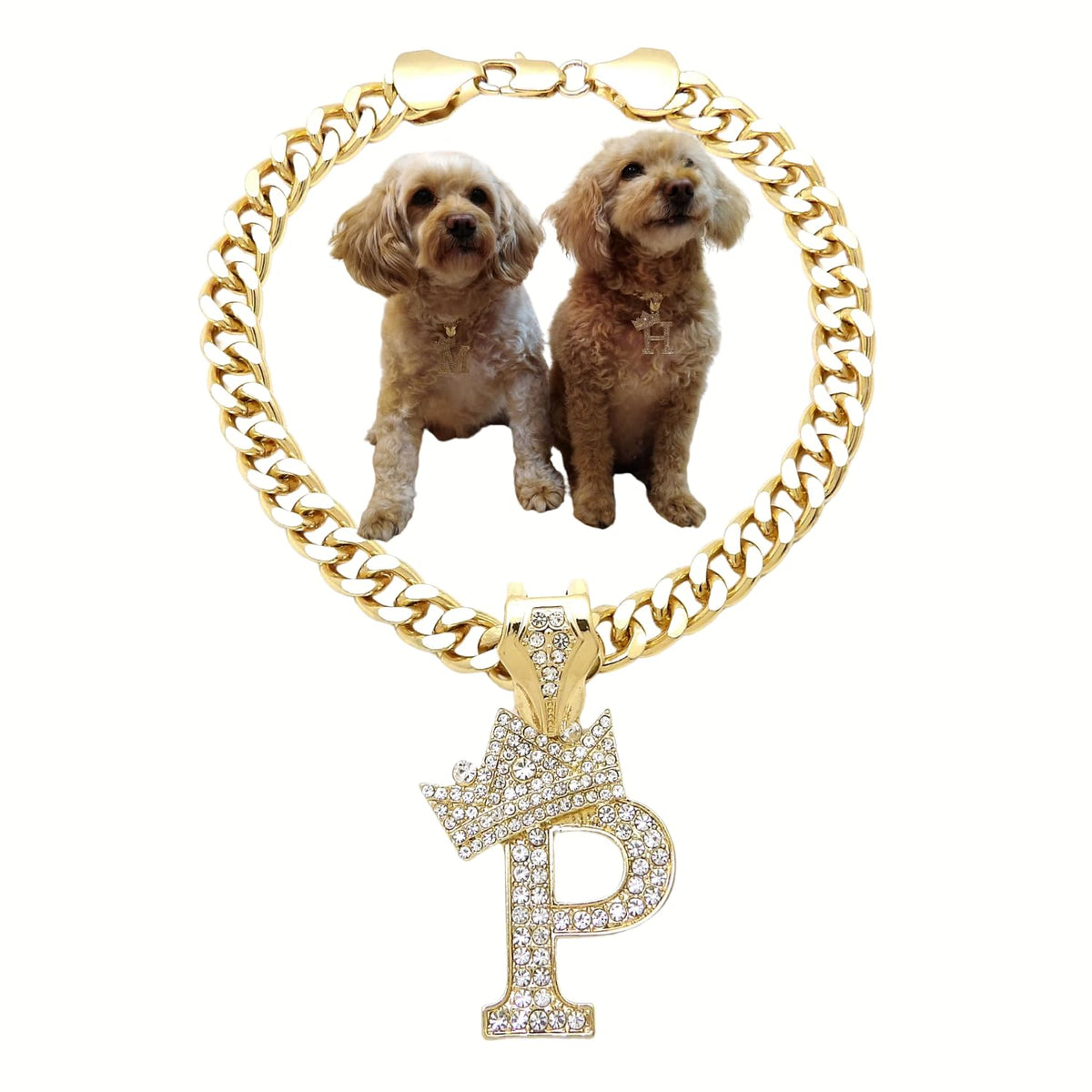 Ba Unique Fashion initial letter Cuban chain pendant close-up for personalized pet style.