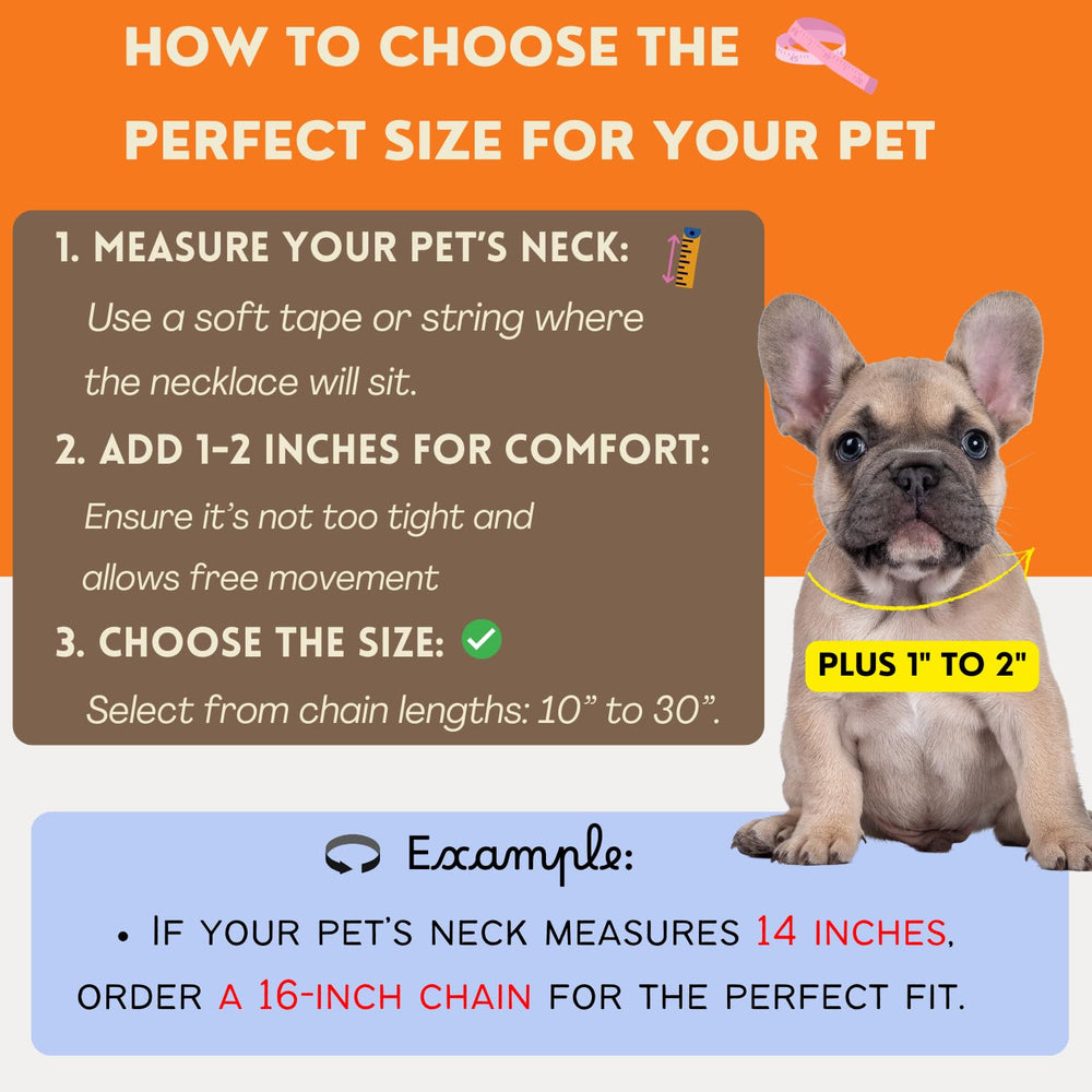 Ba Unique Fashion personalized initial charm adds unique flair to pet look.