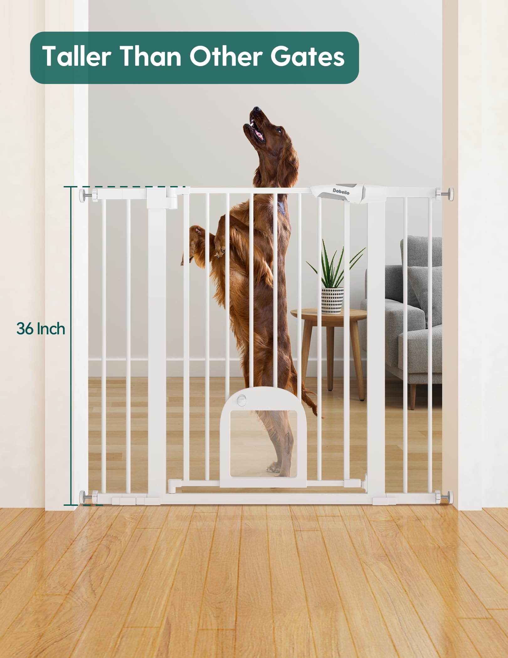 BABELIO cat door open view — easy-access passage for small pets