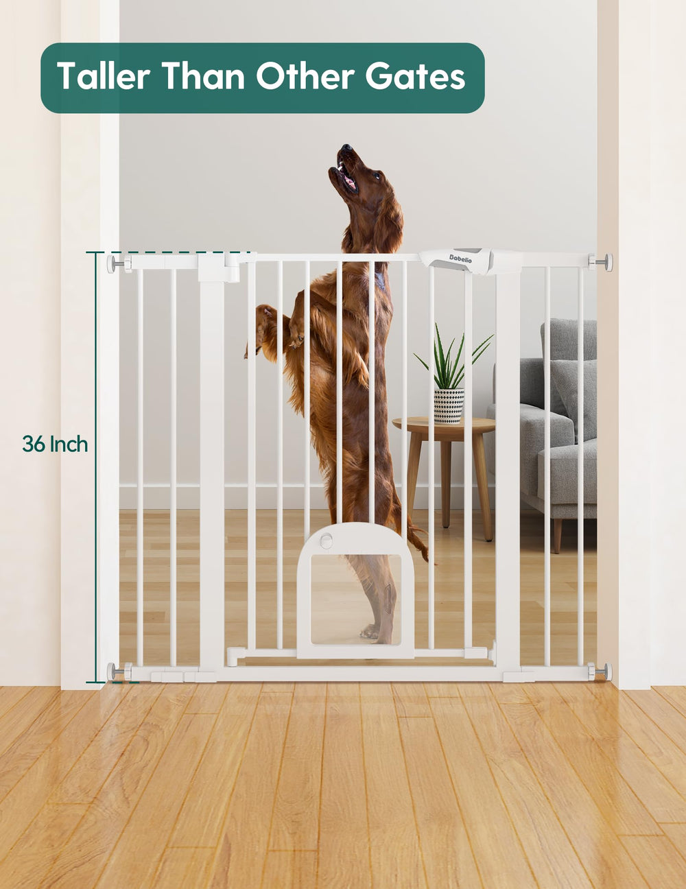 BABELIO cat door open view — easy-access passage for small pets