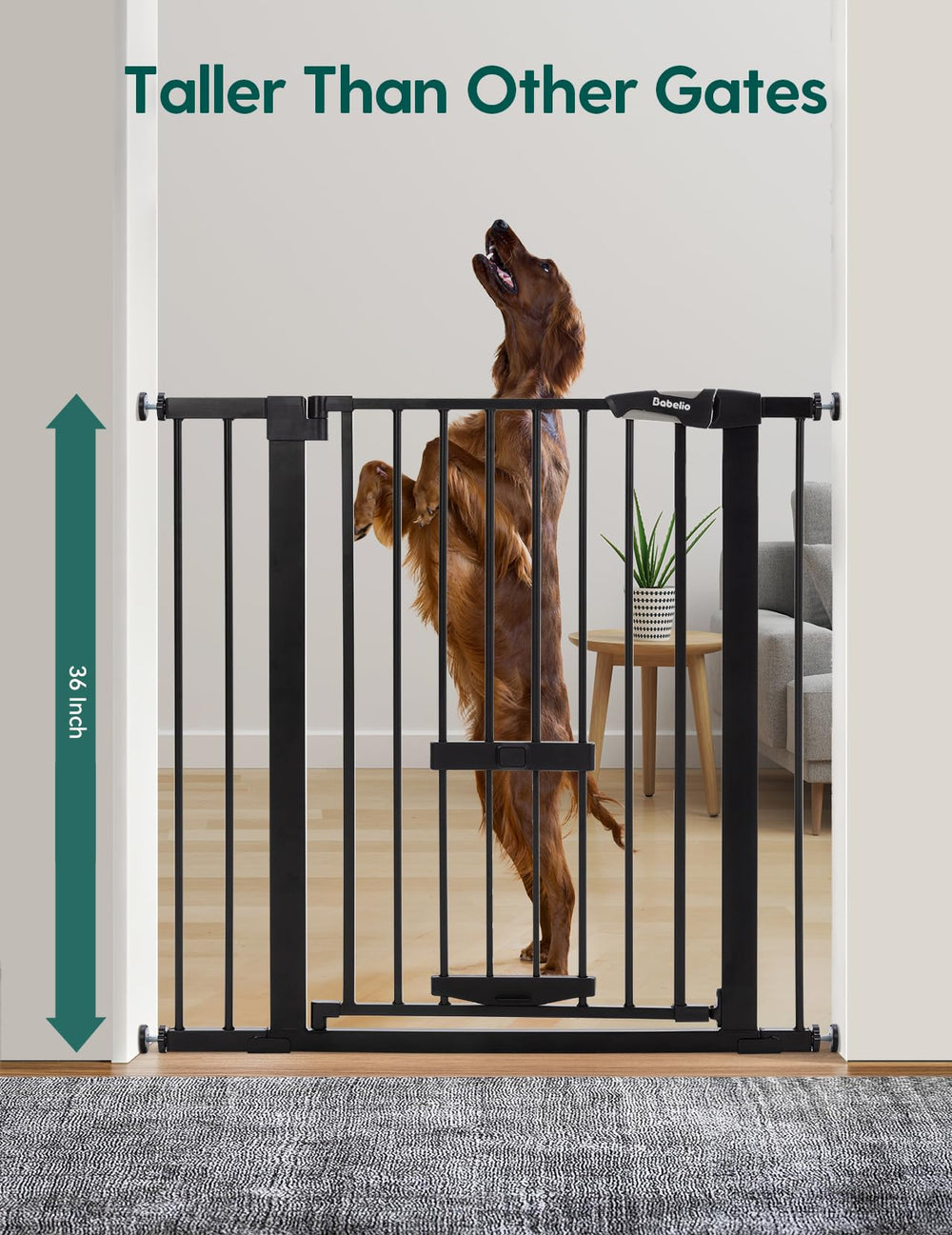 BABELIO auto-close two-way swing demonstrates hands-free entry
