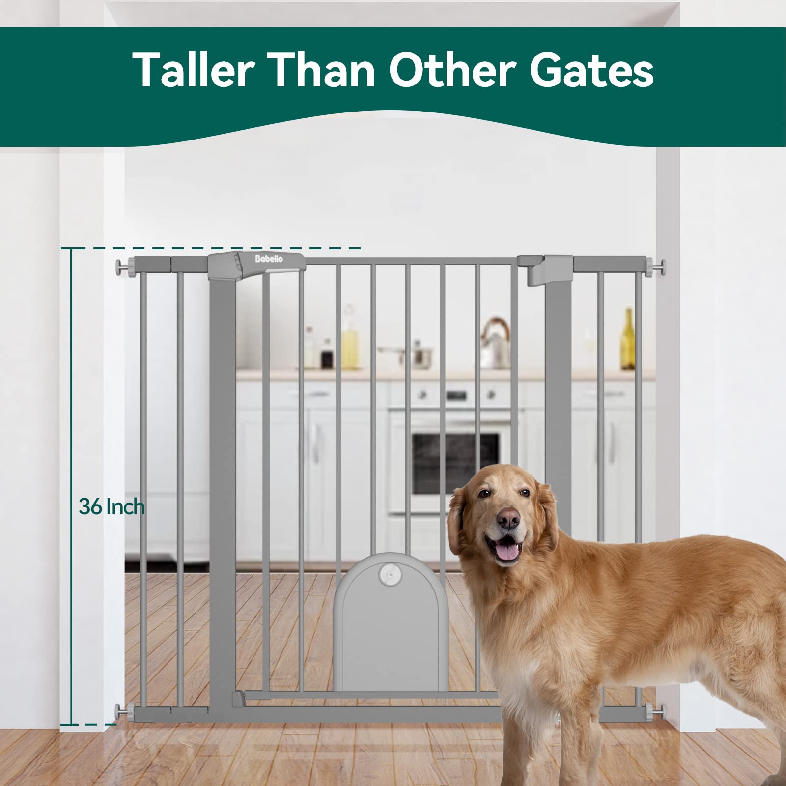 BABELIO cat door walk-through highlighted for easy pet access
