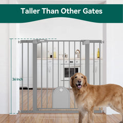 BABELIO cat door walk-through highlighted for easy pet access