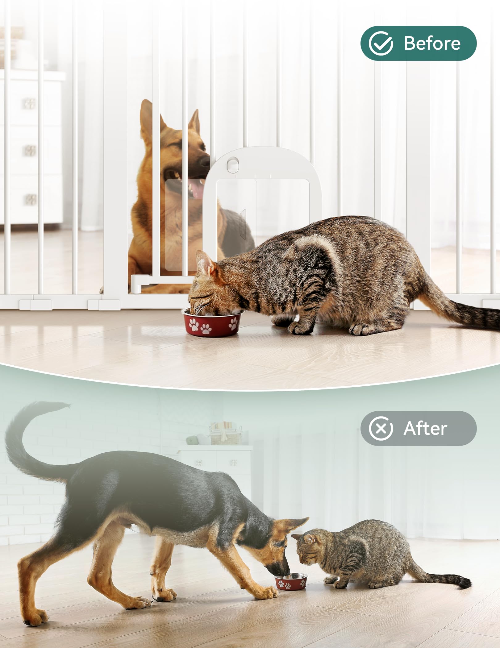 BABELIO cat door on gate, adjustable left-right to separate pets.
