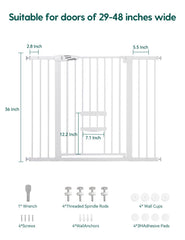 BABELIO cat door upgrade slides with six lock levels for small pets passage.