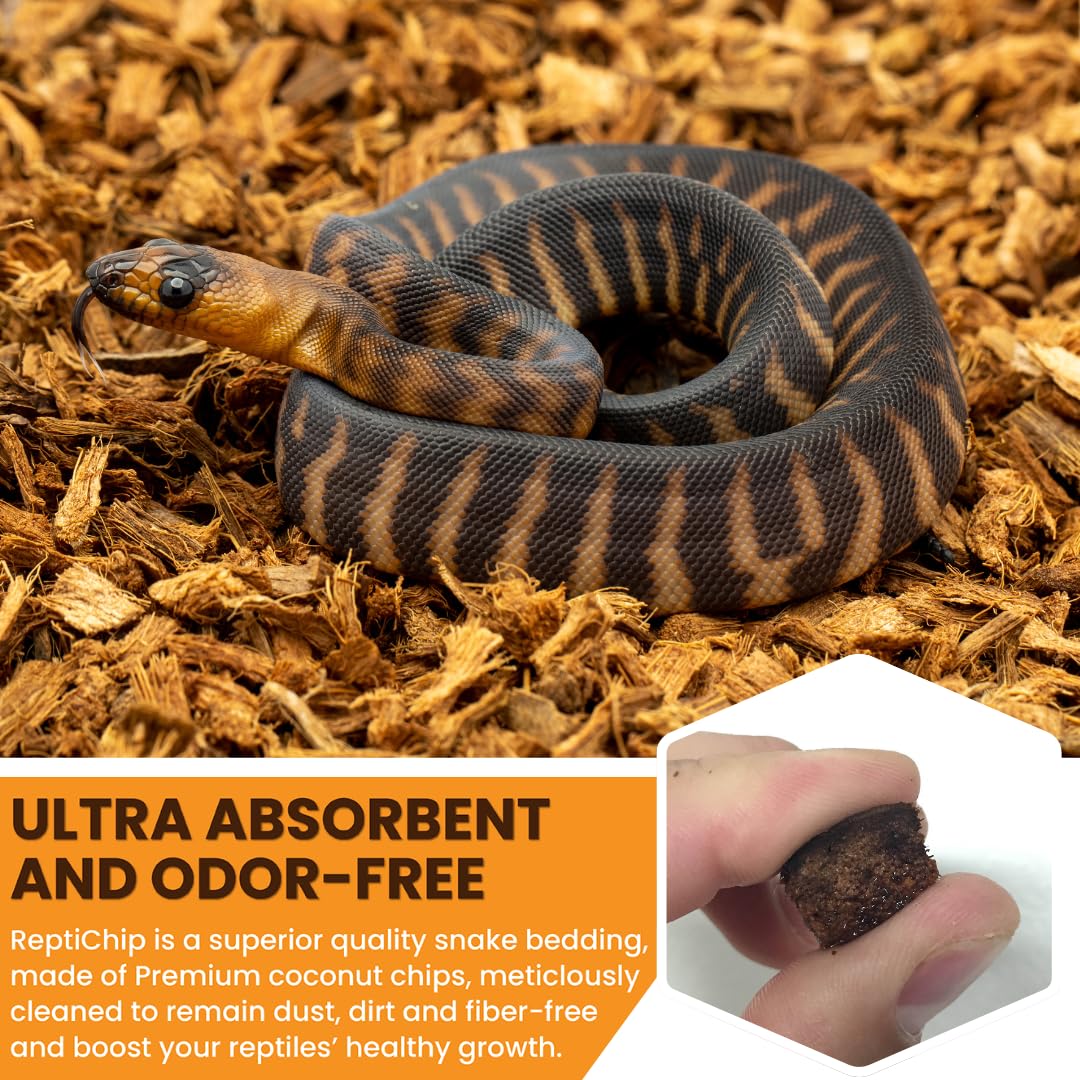 BabiChip odor-absorbing bedding helps keep terrarium smells under control.