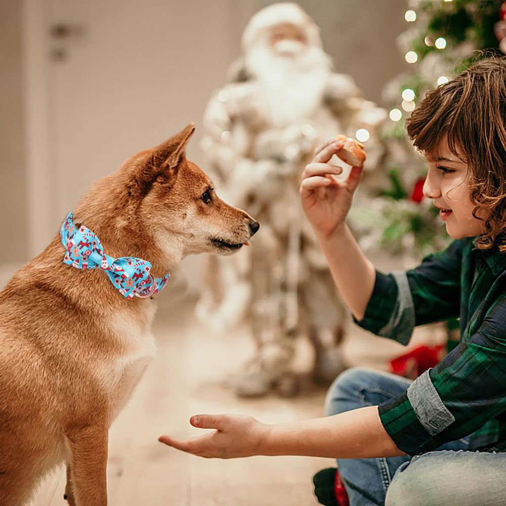 Babole Pet adjustable collar features a removable bow tie for versatile styling.