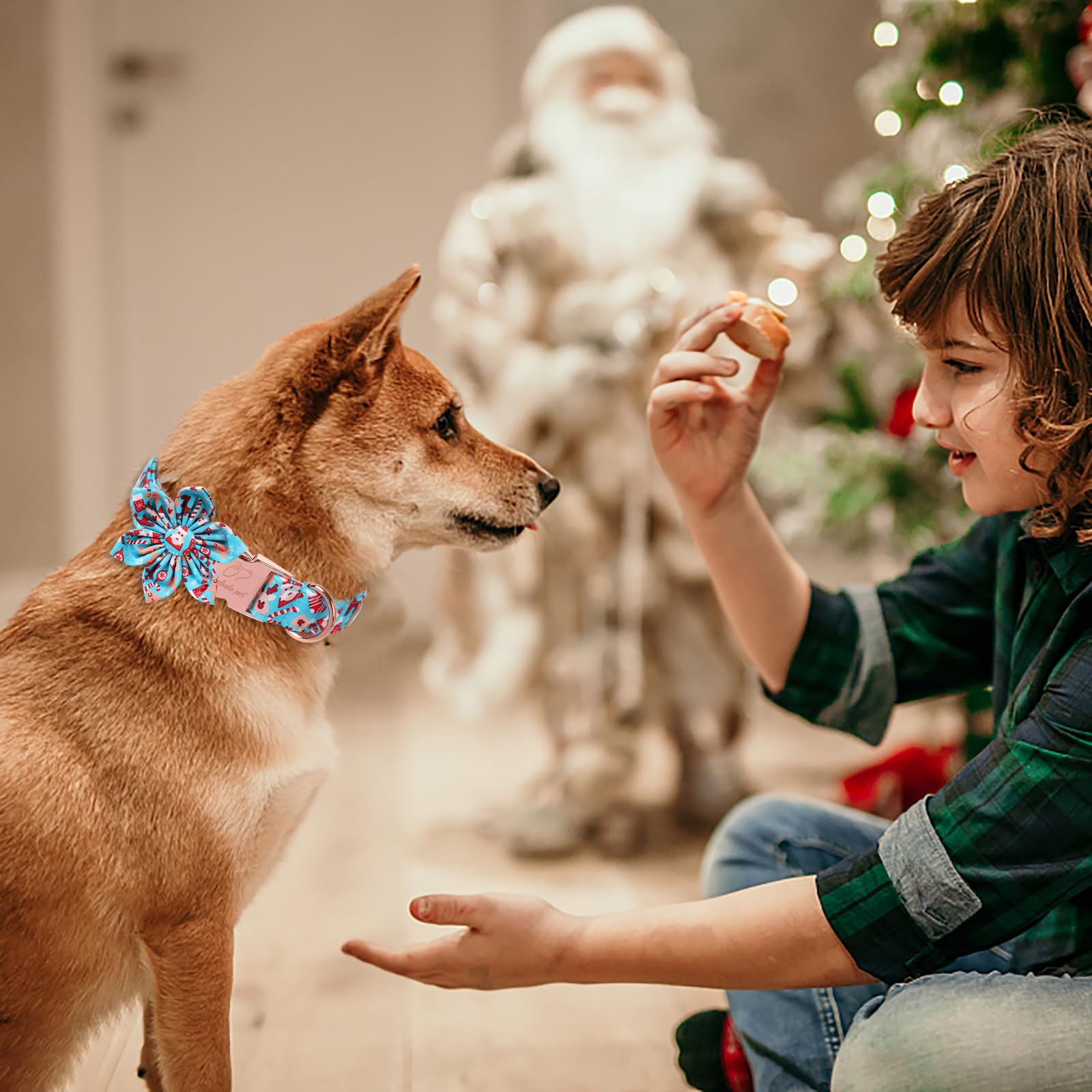 Babole Pet adjustable dog collar with Santa-reindeer accent for everyday wear.