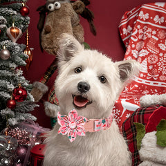 Babole Pet adjustable Santa-style collar provides comfortable all-day wear