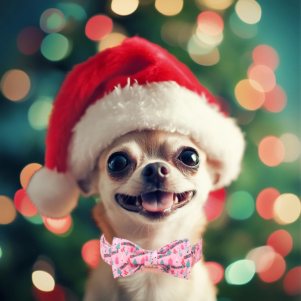 Babole Pet holiday-pattern collar ideal for Thanksgiving, Halloween, and Christmas walks.