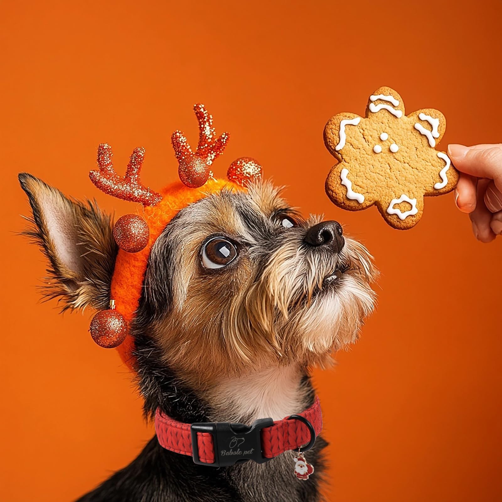 Babole Pet large-collar with quick-release buckle in red braided pattern for easy daily wear.