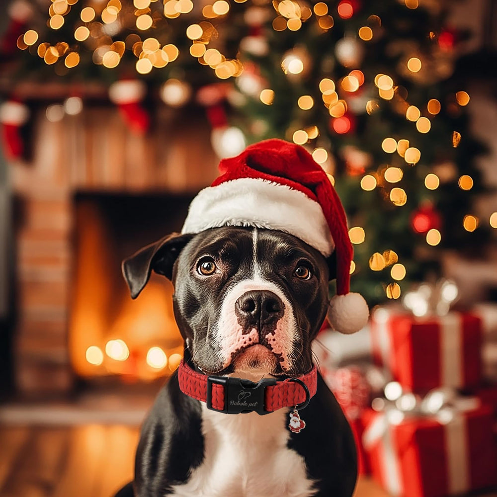Babole Pet red-collar accessories complement holiday outfits for photoshoots.