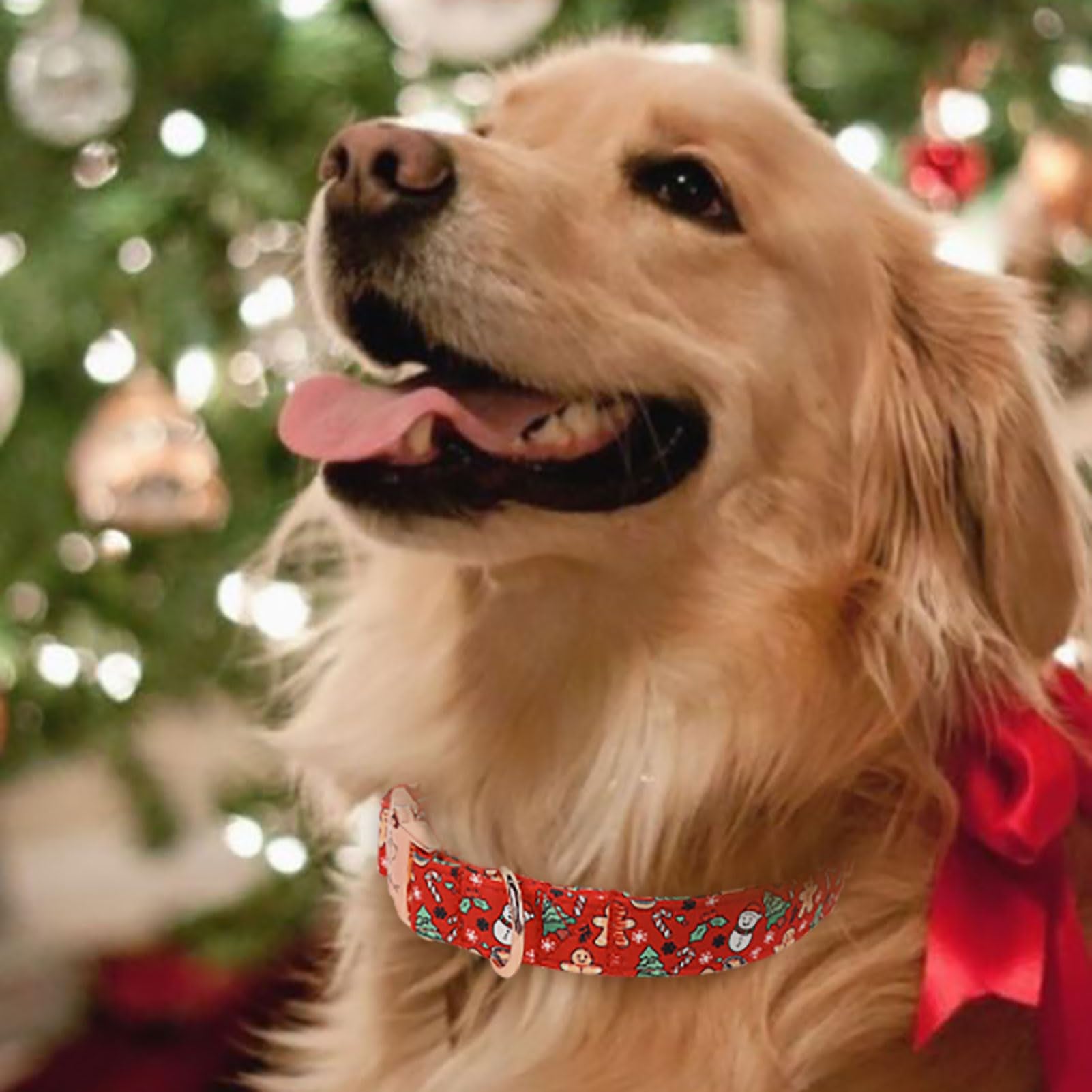 Babole Pet Christmas collar adjustable-fit highlights medium-dog sizing for secure, comfy wear