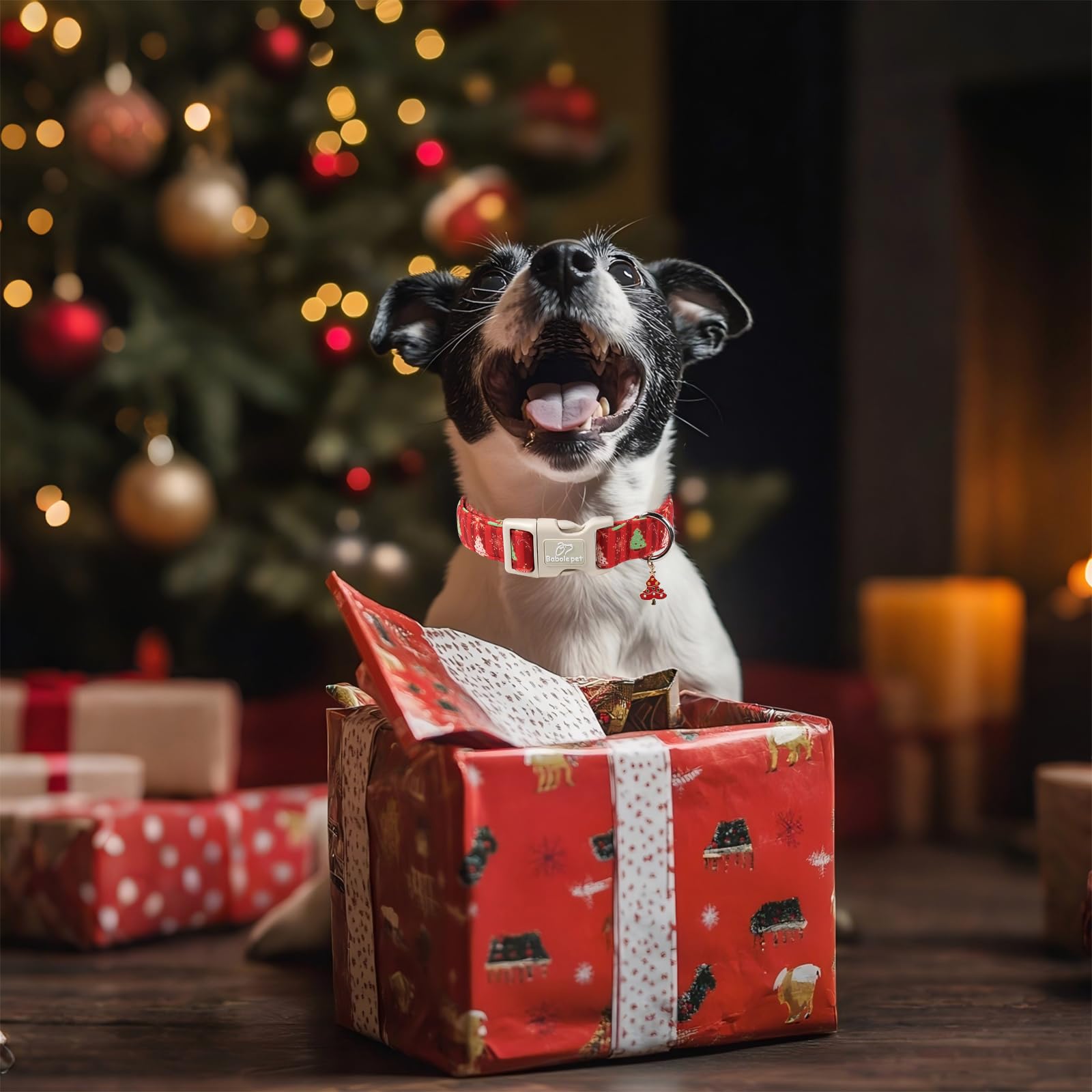 Babole Pet packaging image suggesting a thoughtful gift presentation.
