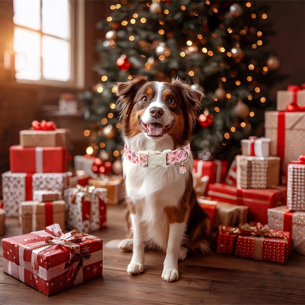 Babole Pet Christmas collar photo ready moments make memories with your dog