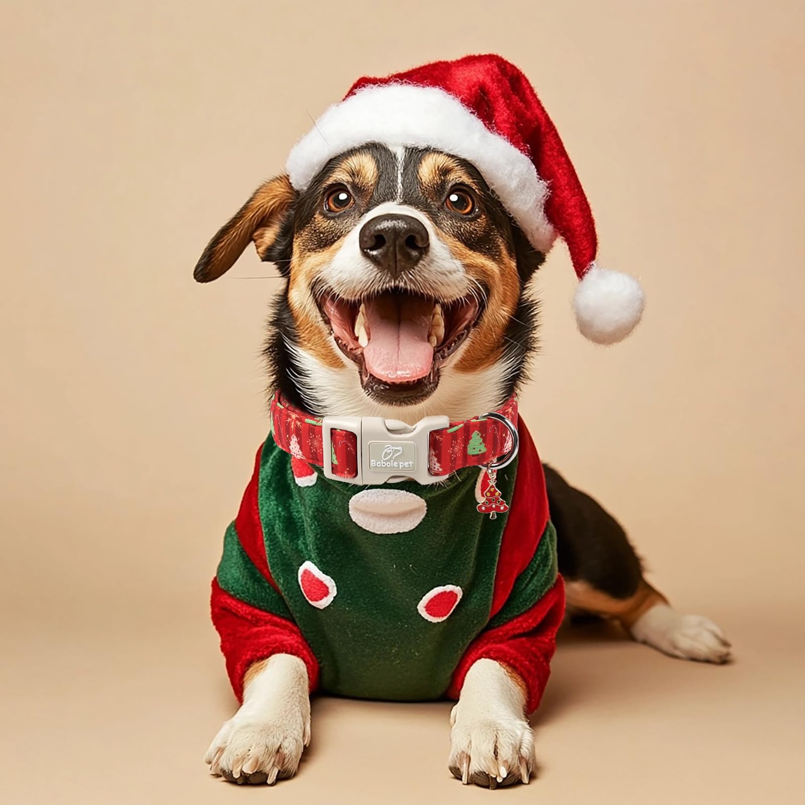 Babole Pet Christmas dog collar featuring snowflakes for holiday photos.
