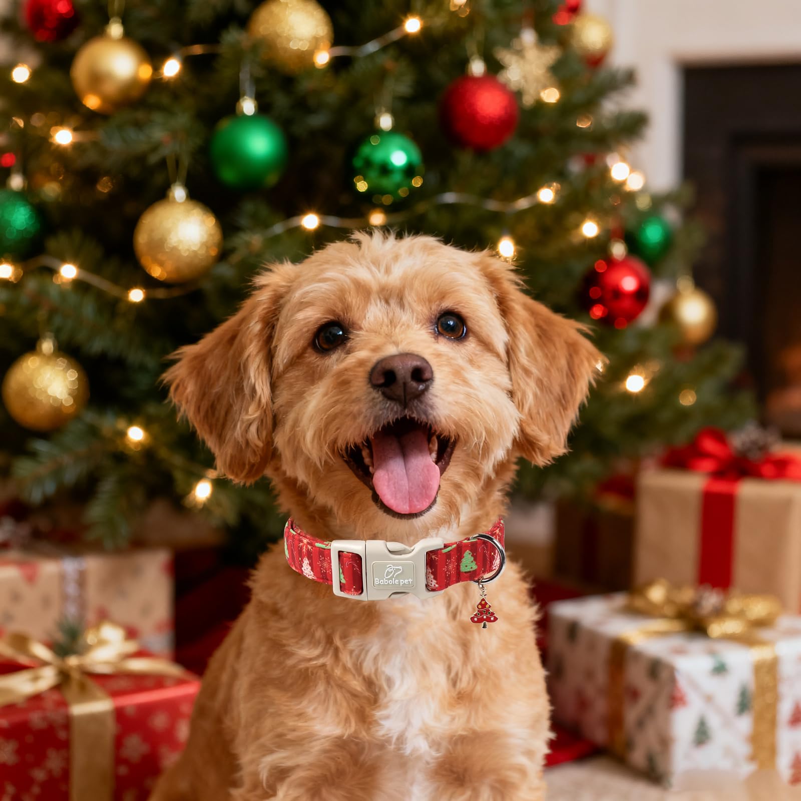 Babole Pet Christmas collar showing plush padding for all-day comfort.