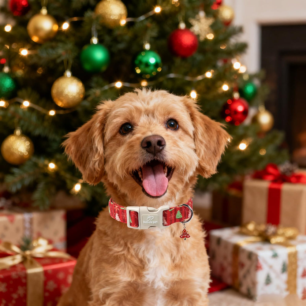 Babole Pet Christmas collar showing plush padding for all-day comfort.