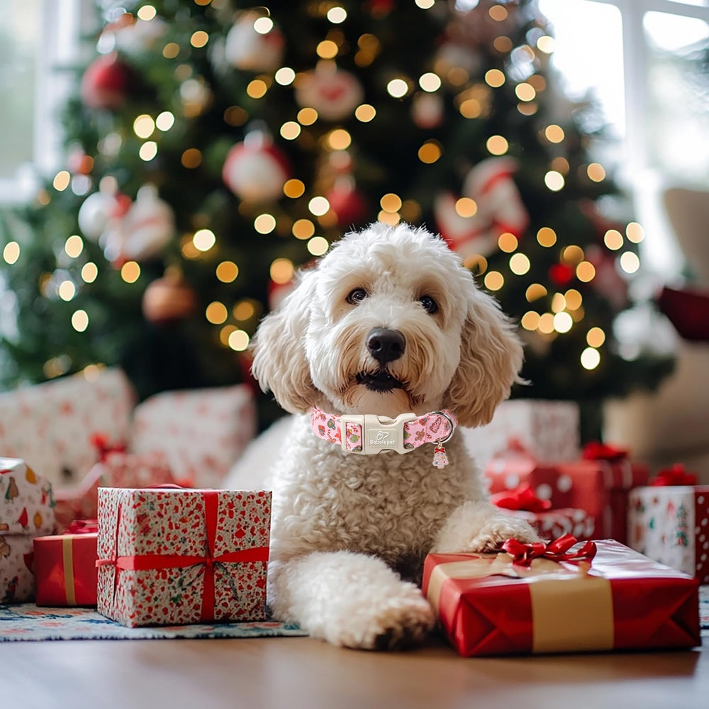 Babole Pet Christmas collar plush lining for all day comfort during walks