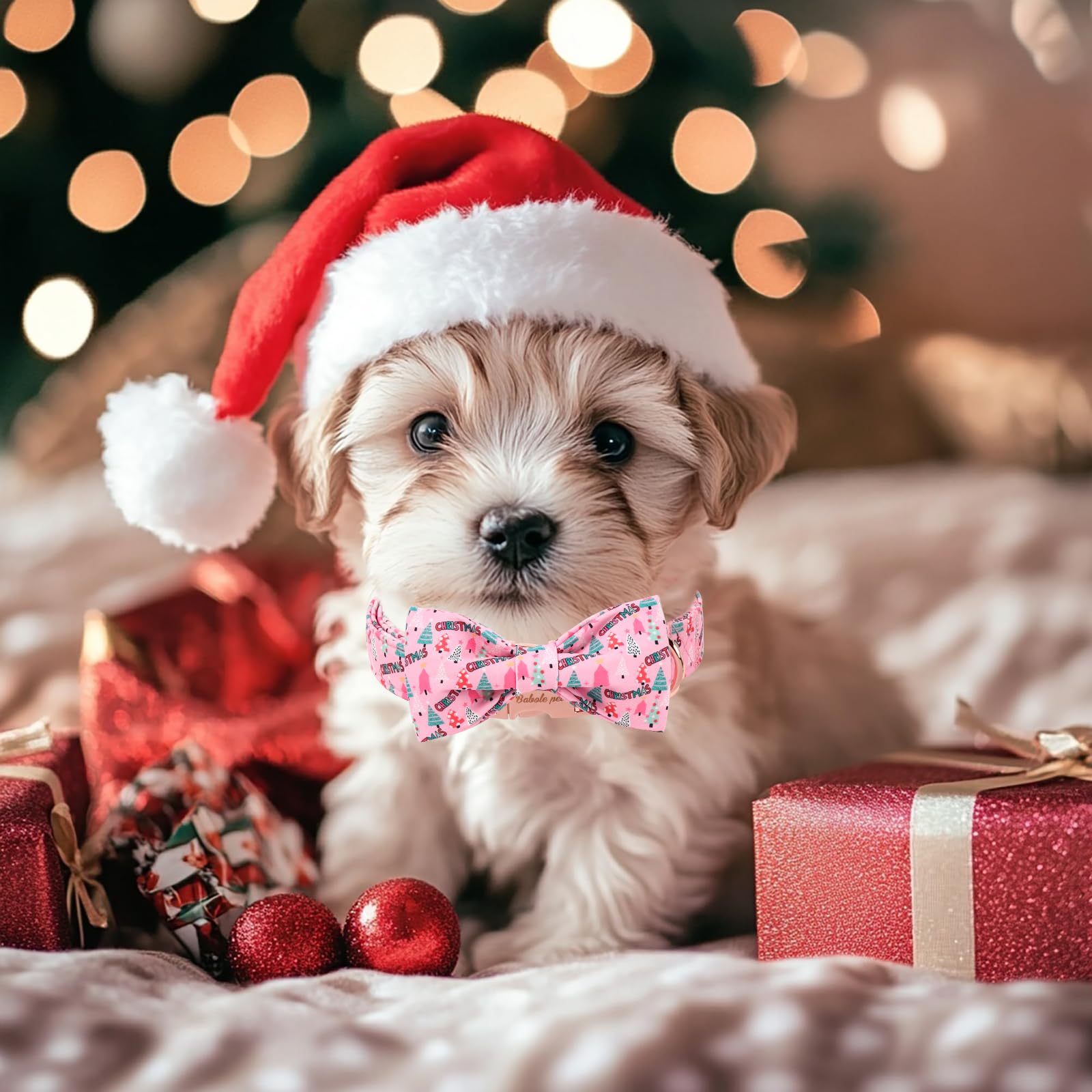 Babole Pet two-piece collar and bow set offers stylish value for festive outfits.