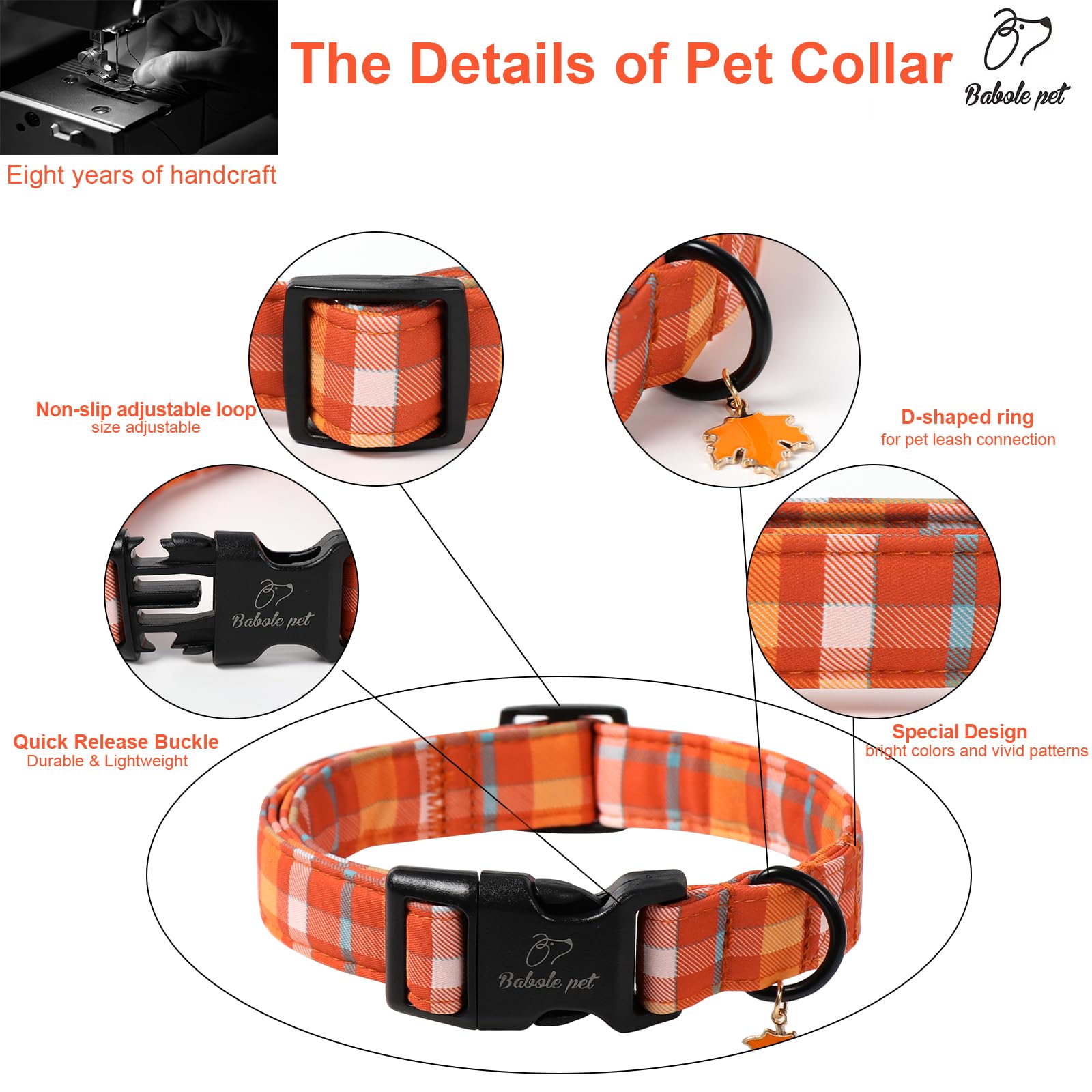 Collar Babole Pet con anilla D resistente para sujeción segura.