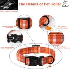 Collar Babole Pet con anilla D resistente para sujeción segura.