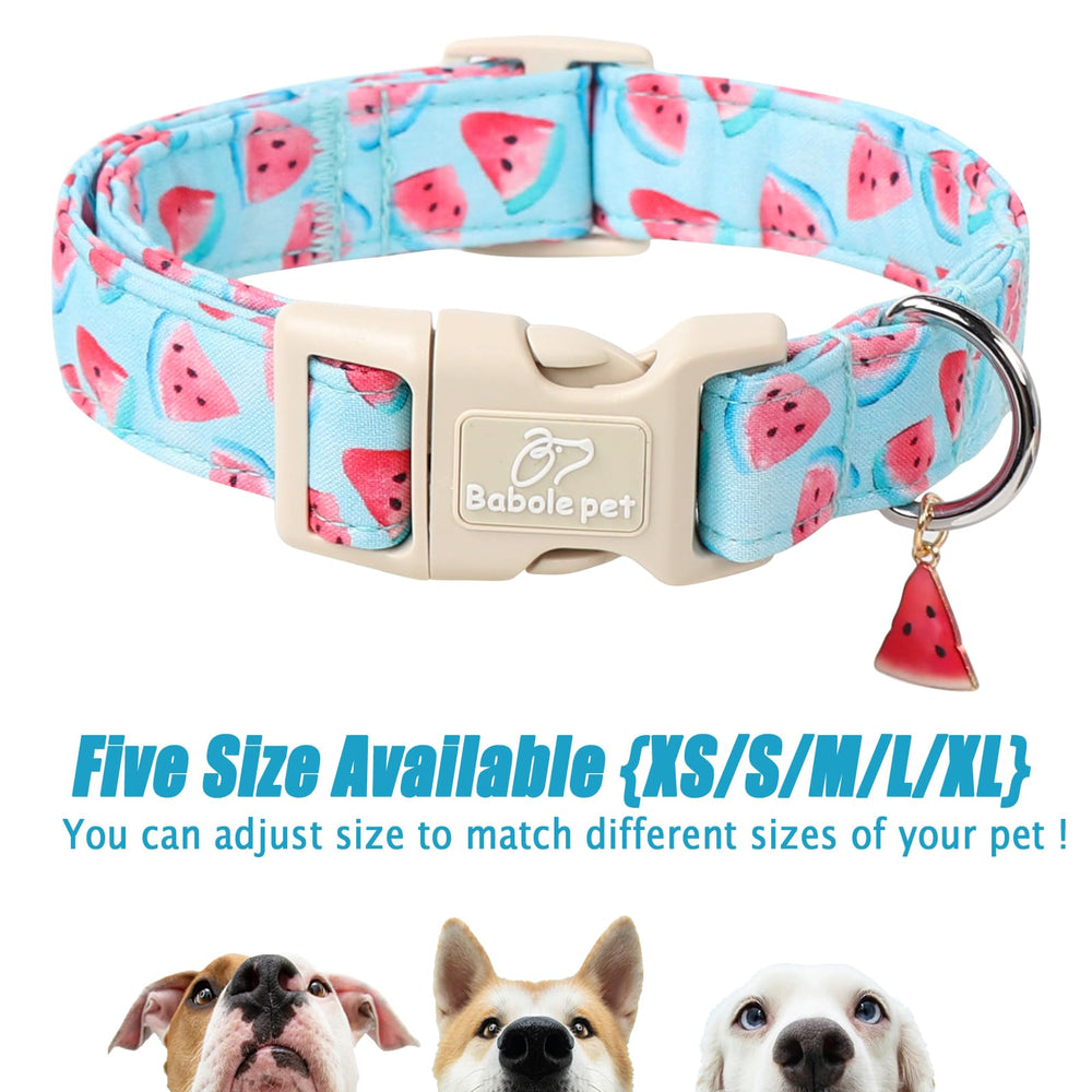Babole Pet watermelon collar charm detail adds photo-ready personality