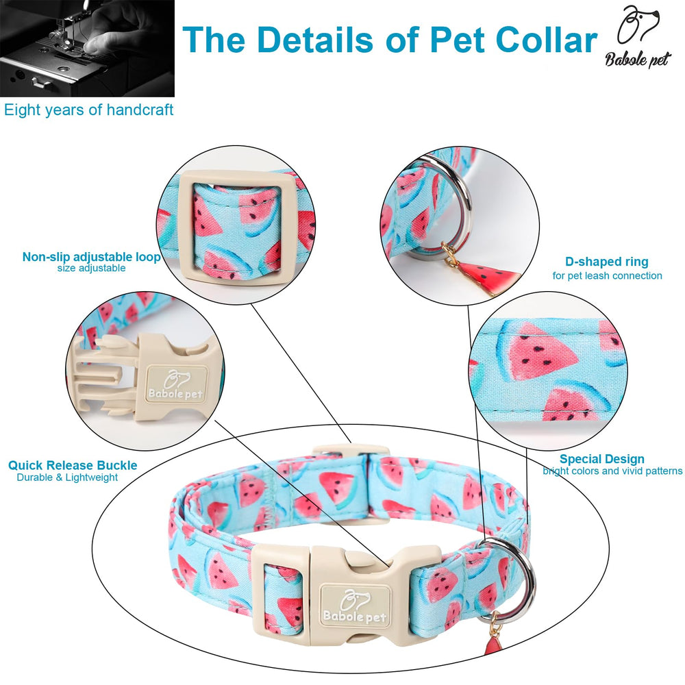 Babole Pet collar with metal D-ring for secure leash attachment