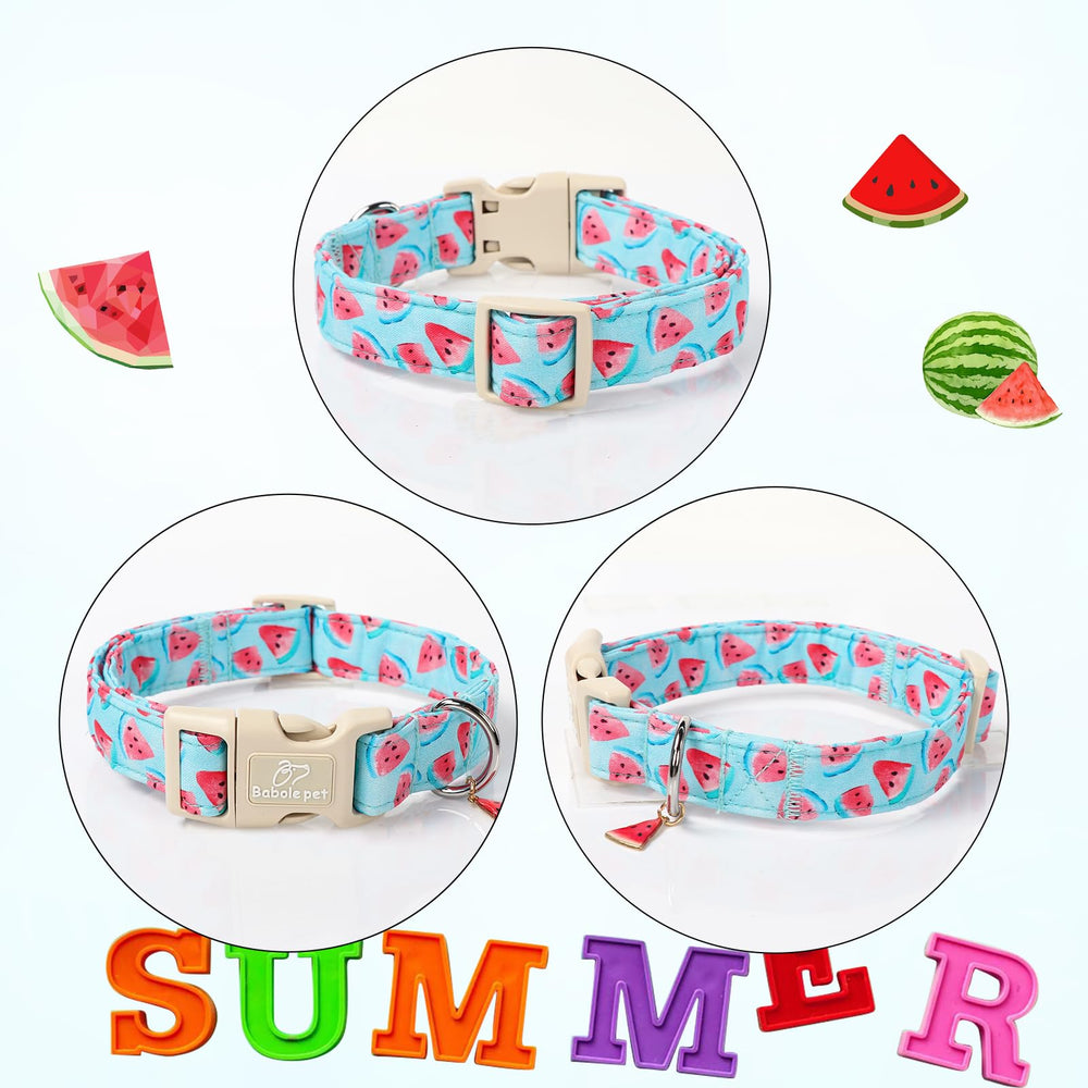 Babole Pet reinforced-stitching collar designed for durability during playful tugging