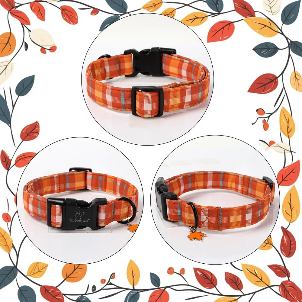 Babole Pet collar para uso diario y paseos por el parque, cómodo y duradero.